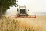 combine harvester agriculture harvest grain panasonic lumix wetterau stock photo